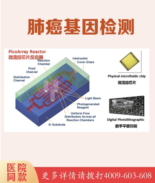 如何进行广东梅州常隐耳聋88遗传病基因检测？