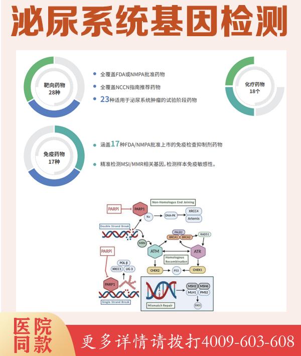 血液遗传代谢病基因检测，掌握基因健康